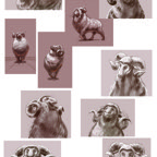 RAMS ram expressions.jpg