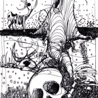 Salination -The Australian-1999.jpg