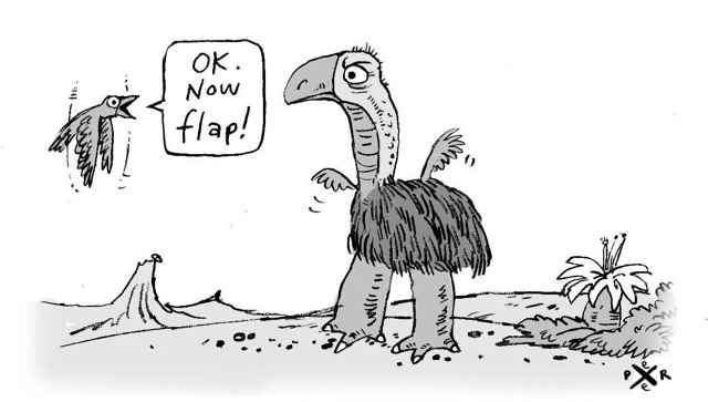 1- Now flap cartoon.jpg