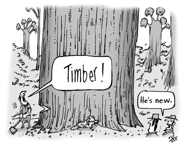 4- Timber cartoon.jpg