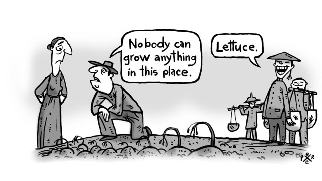 5- Lettuce cartoon.jpg