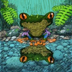 The Smile - frog